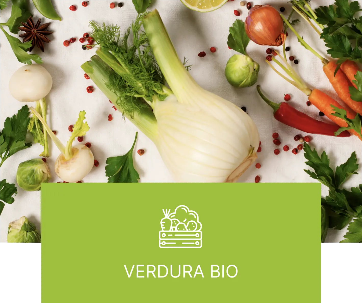 verdura bio